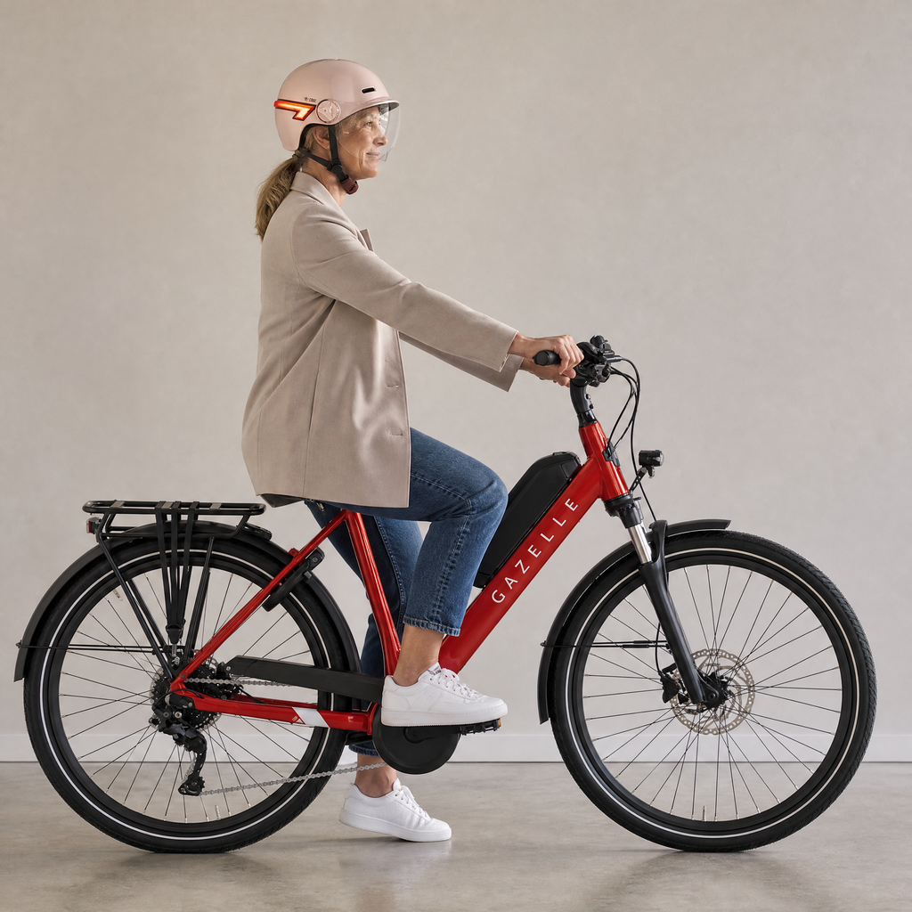 HatBikes Care Pro